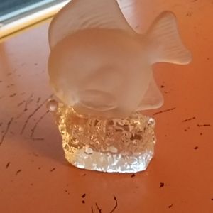 From Bermuda glass fish